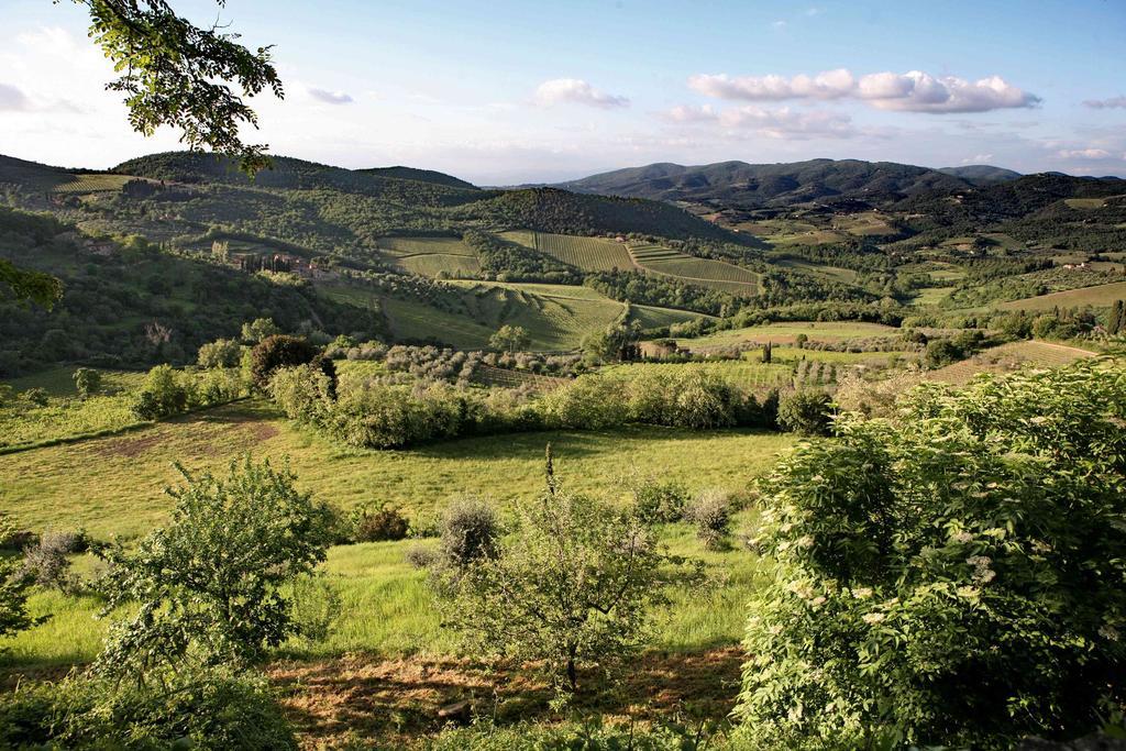 Residenza Antico Chianti Guest House Panzano in Chianti Exterior photo